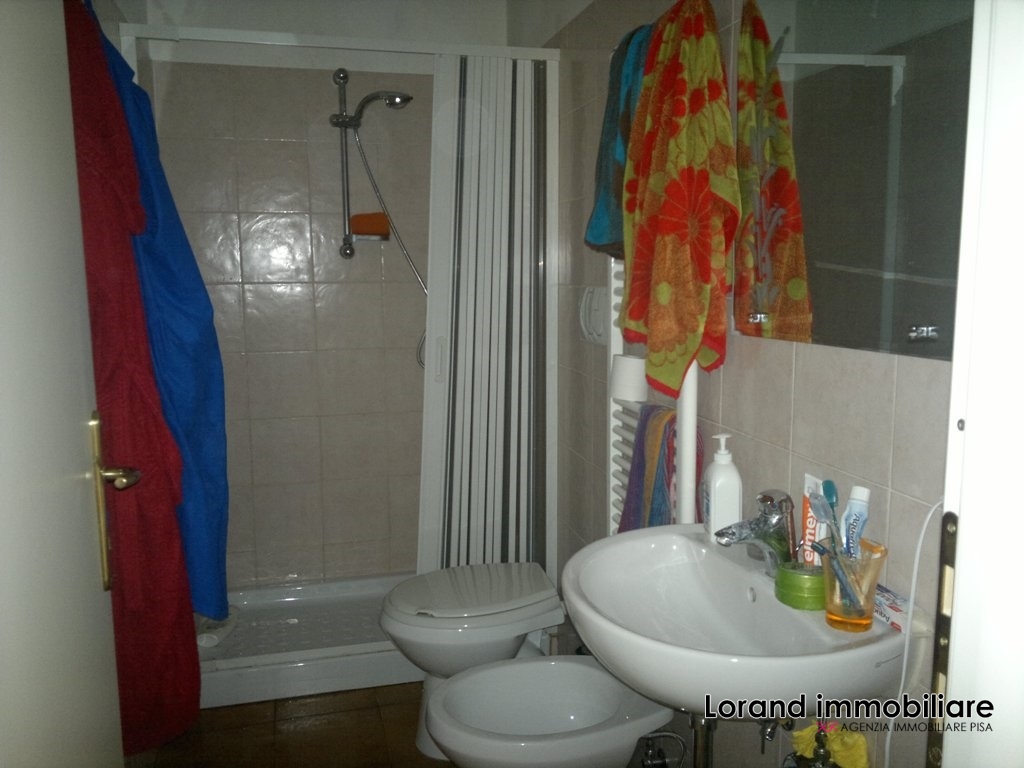 Appartamento PISA affitto  Porta a Lucca  Lorand Immobiliare
