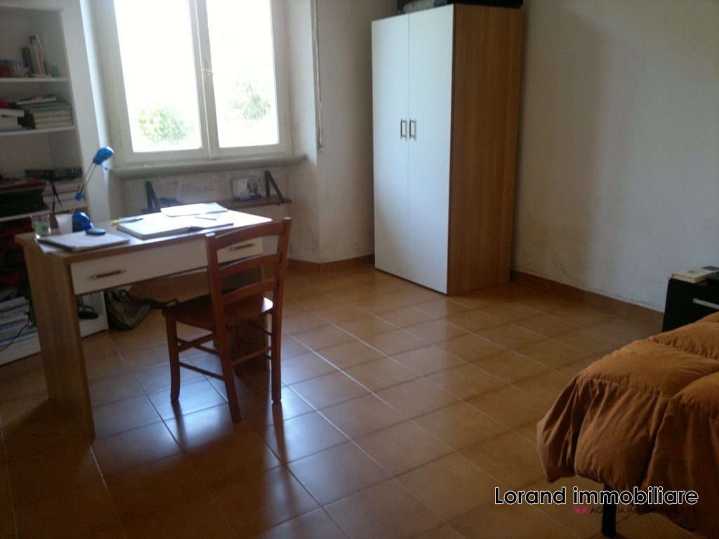 Appartamento PISA affitto  Porta a Lucca  Lorand Immobiliare