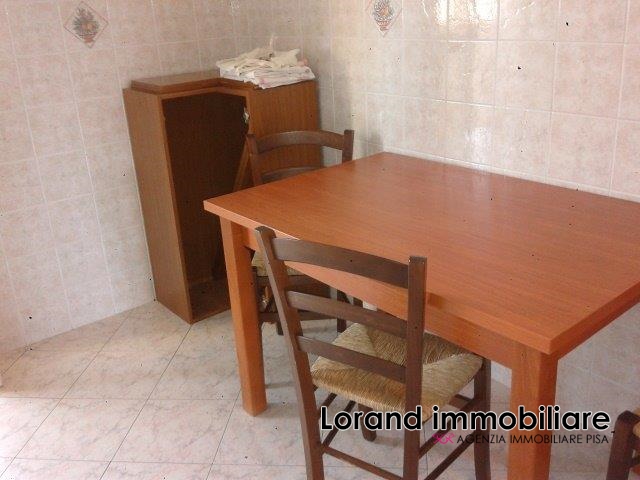 Appartamento PISA affitto  Porta a Lucca  Lorand Immobiliare