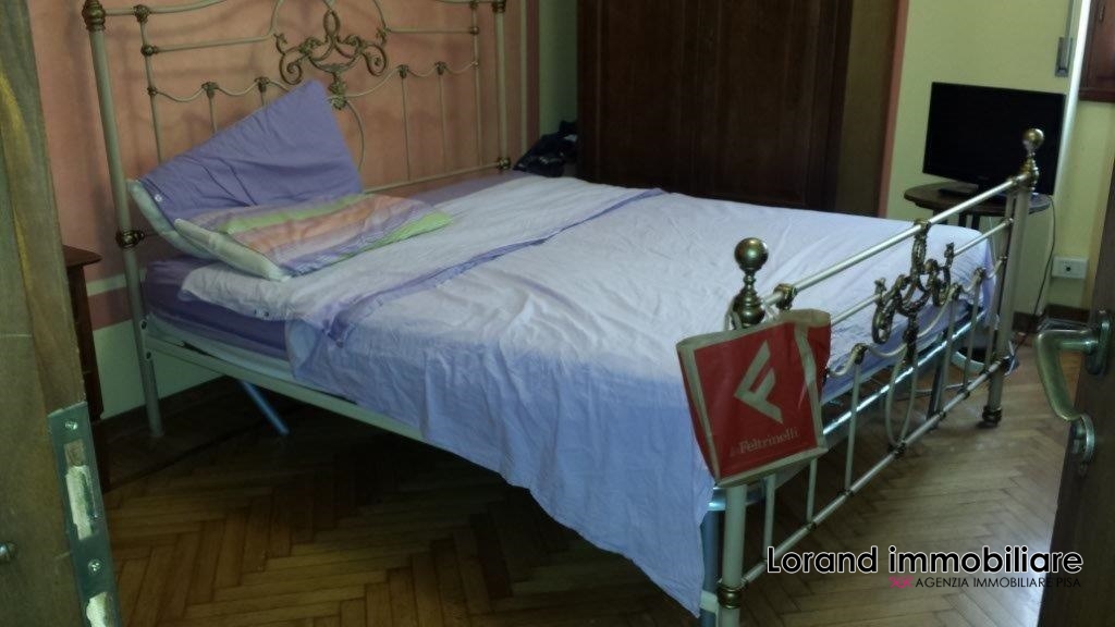 Appartamento PISA affitto  Pisa  Lorand Immobiliare