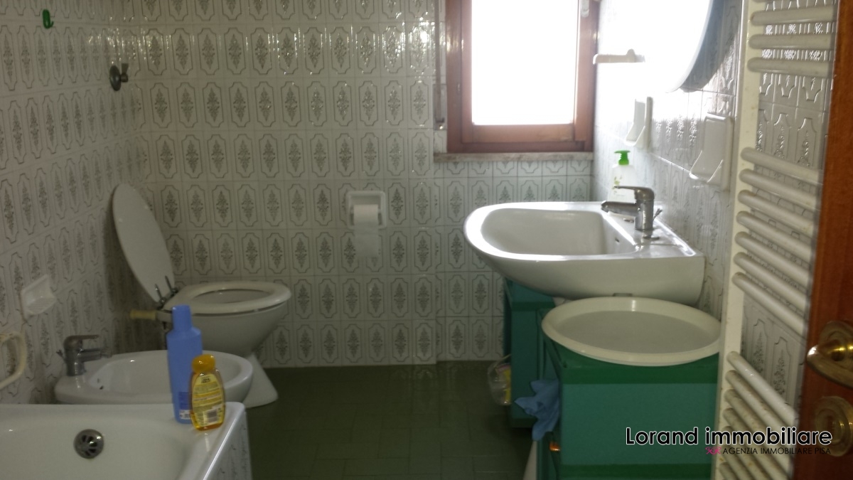 Appartamento PISA affitto  Pratale  Lorand Immobiliare