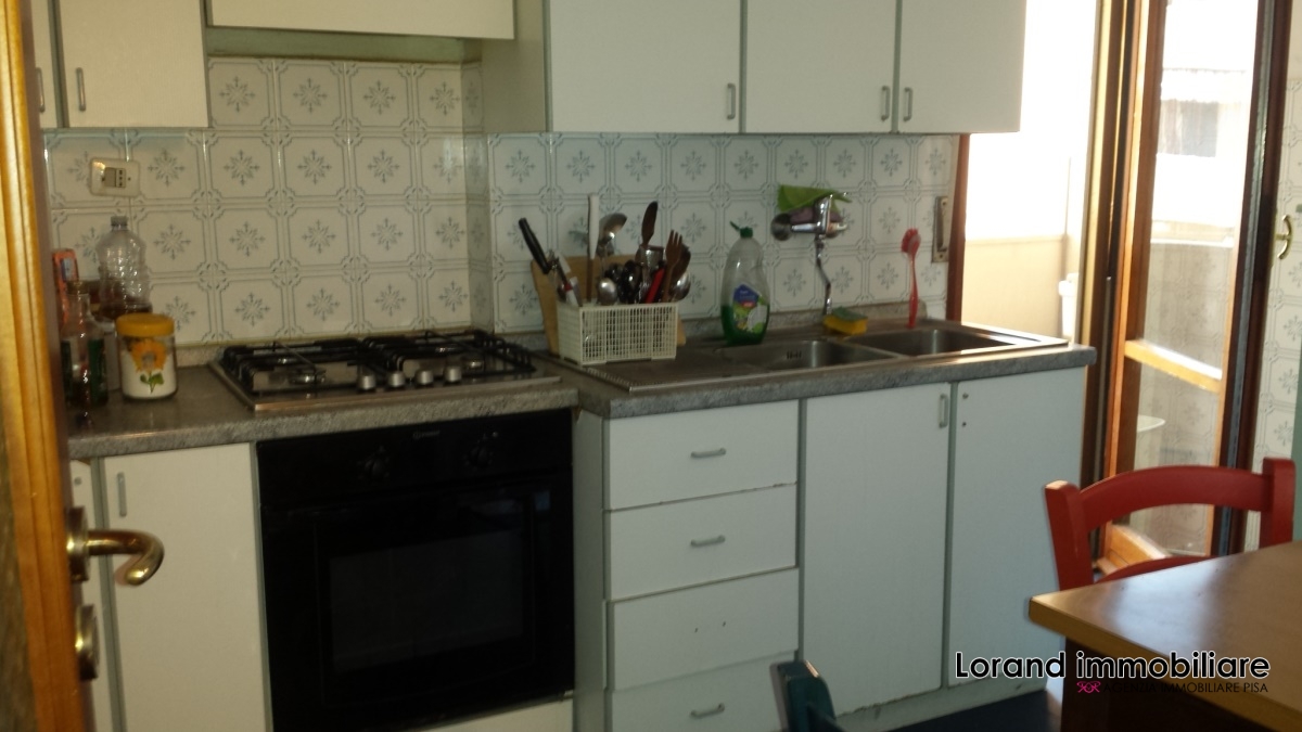 Appartamento PISA affitto  Pratale  Lorand Immobiliare
