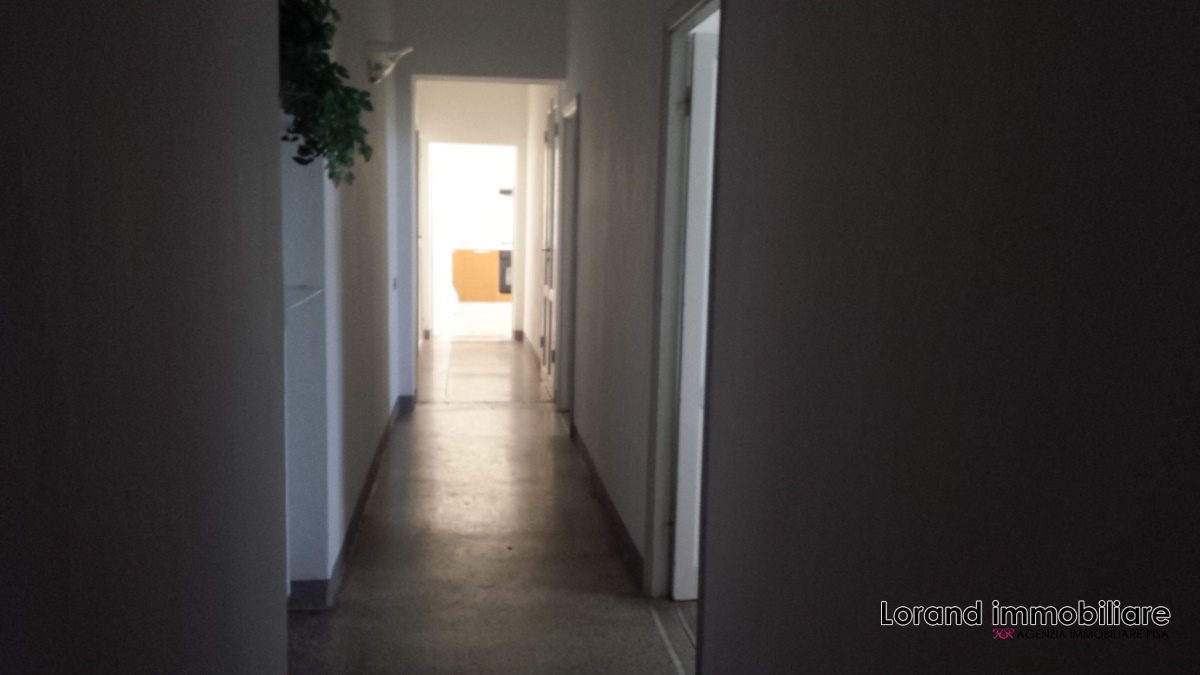 Appartamento PISA affitto  Lungarni  Lorand Immobiliare