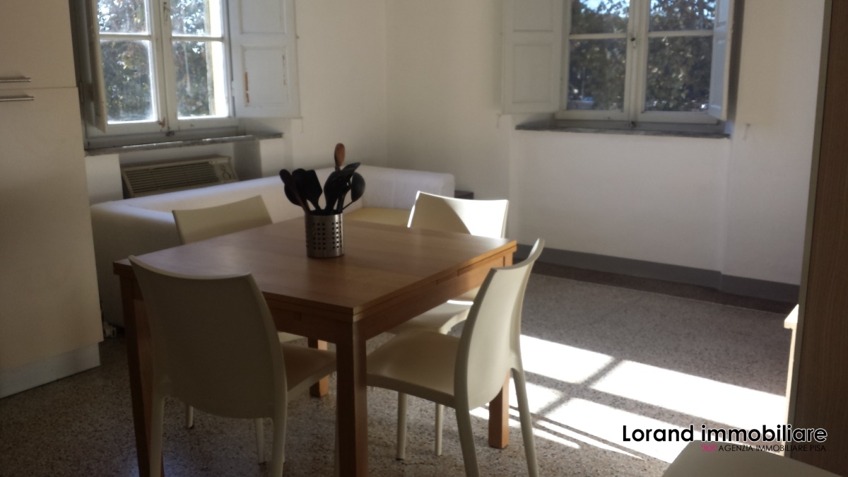 Appartamento PISA affitto  Lungarni  Lorand Immobiliare