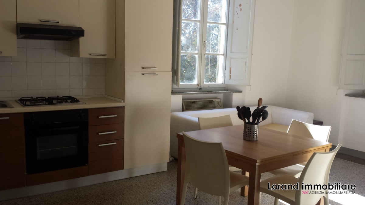 Appartamento PISA affitto  Lungarni  Lorand Immobiliare