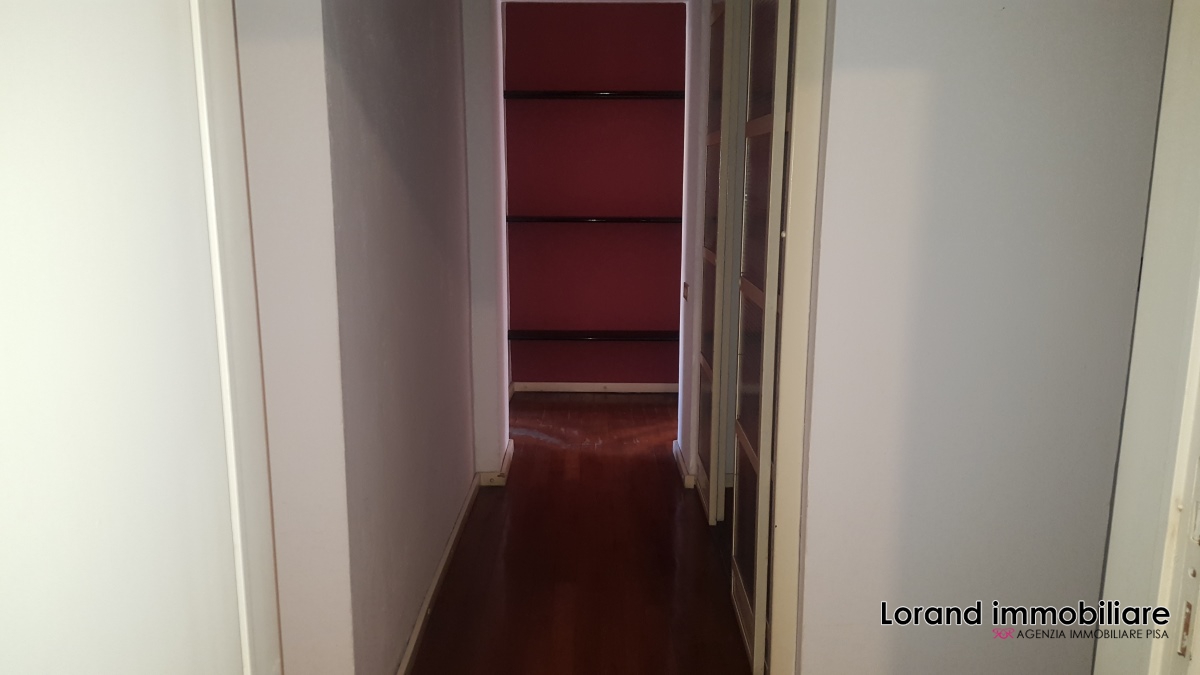 Appartamento PISA affitto  Pisa  Lorand Immobiliare