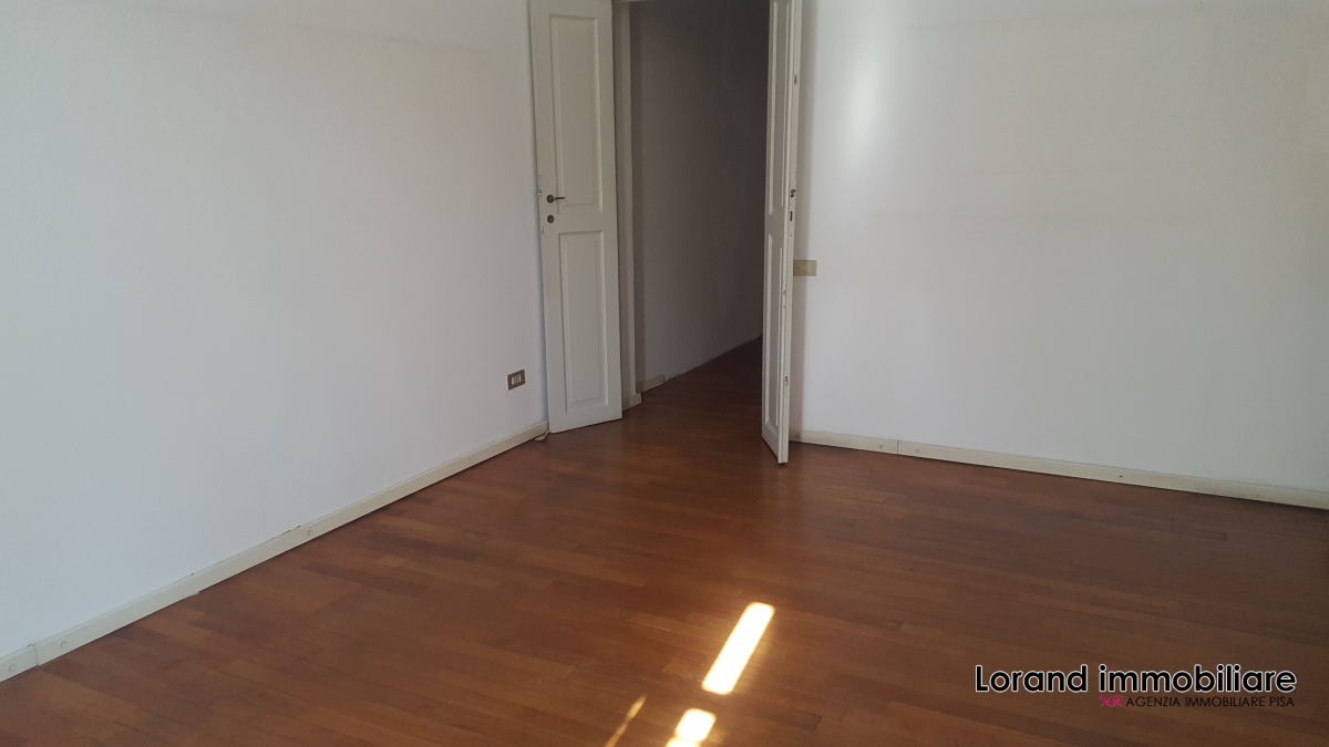 Appartamento PISA affitto  Pisa  Lorand Immobiliare