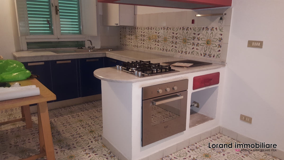 Appartamento PISA affitto  Pisa  Lorand Immobiliare