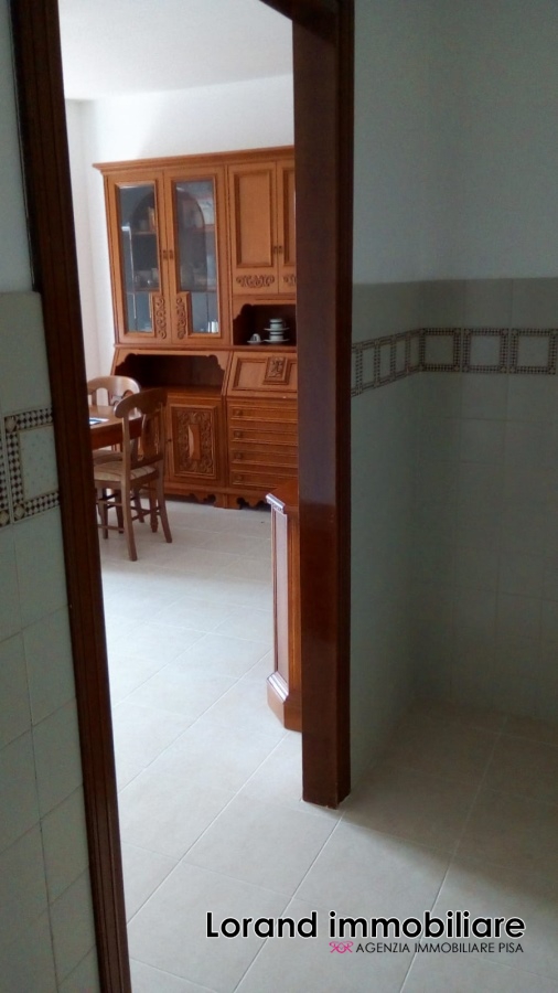  pisa affitto quart: cisanello lorand-immobiliare