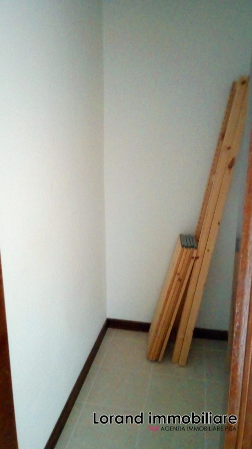 Appartamento PISA affitto  Cisanello  Lorand Immobiliare