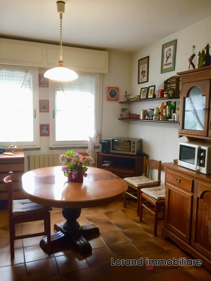 Appartamento PISA vendita  Pisa  Lorand Immobiliare