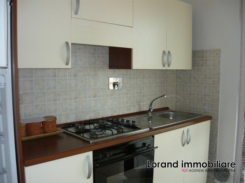 Appartamento PISA affitto  Pisa  Lorand Immobiliare