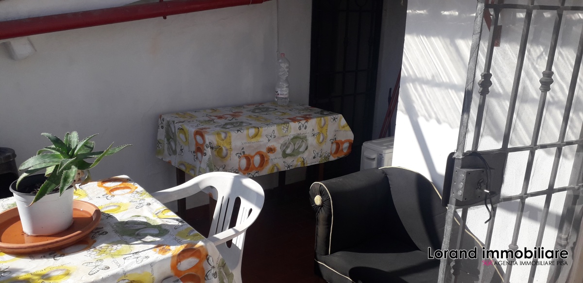 Appartamento PISA affitto  Sant
