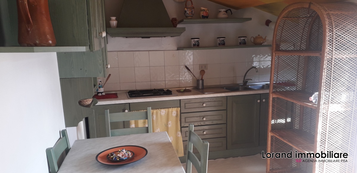 Appartamento PISA affitto  Sant