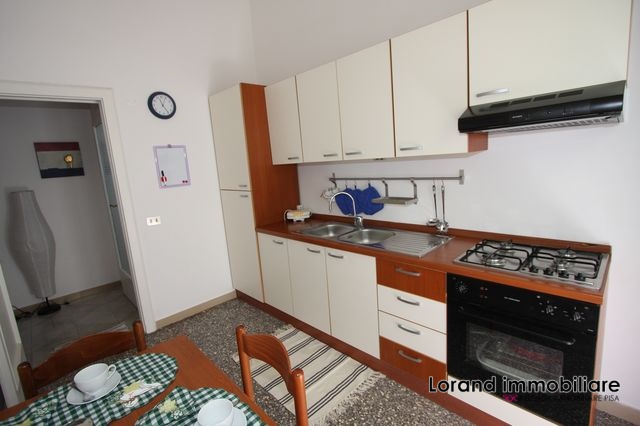 Appartamento PISA affitto  Santa Maria  Lorand Immobiliare