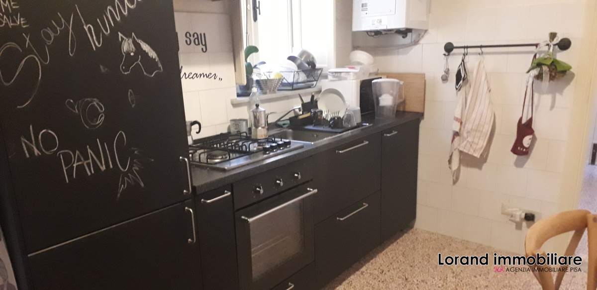 Appartamento PISA vendita  Pisa  Lorand Immobiliare
